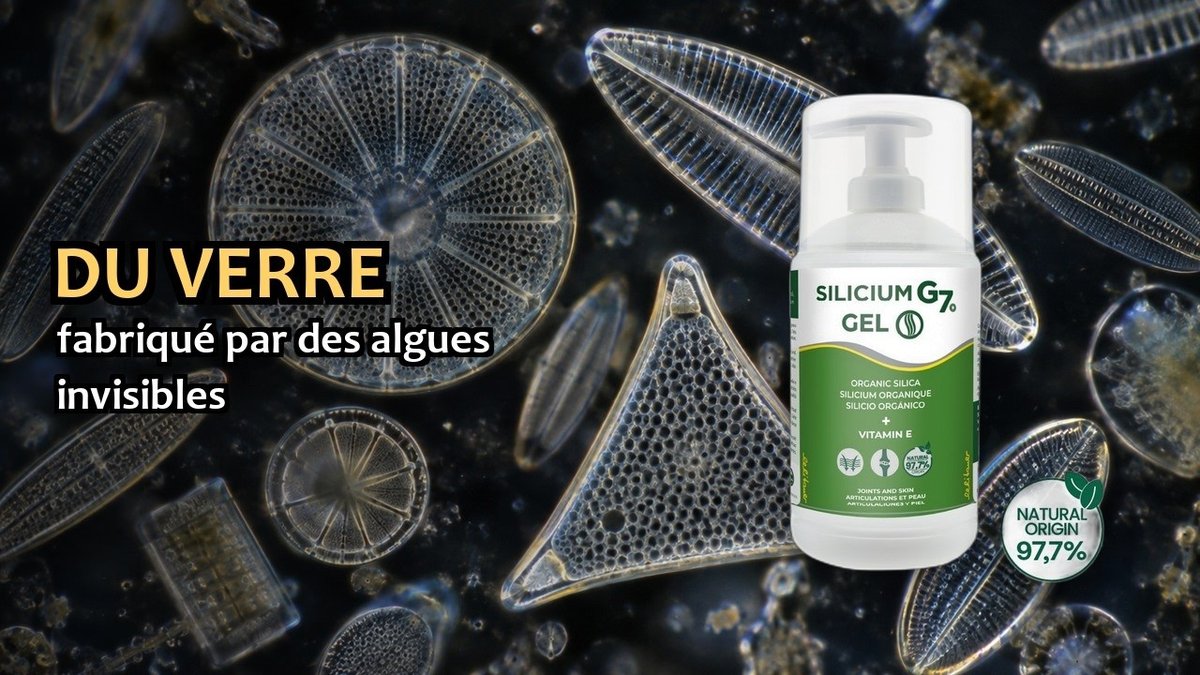 Vidéo Silicium G7 Gel 500 ml Silicium España Paris Herba Barona