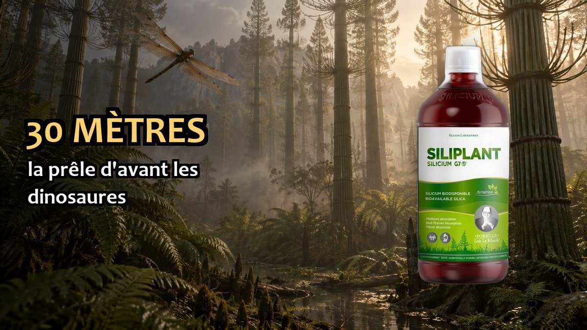 Vidéo Silicium G7 Siliplant Silicium España Silicium G7 Siliplant 1L Paris Herba Barona
