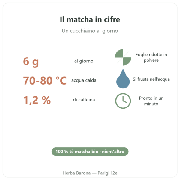 Tè matcha giapponese biologico in polvere 150 g – Bioptimal in cifre Paris Herba Barona