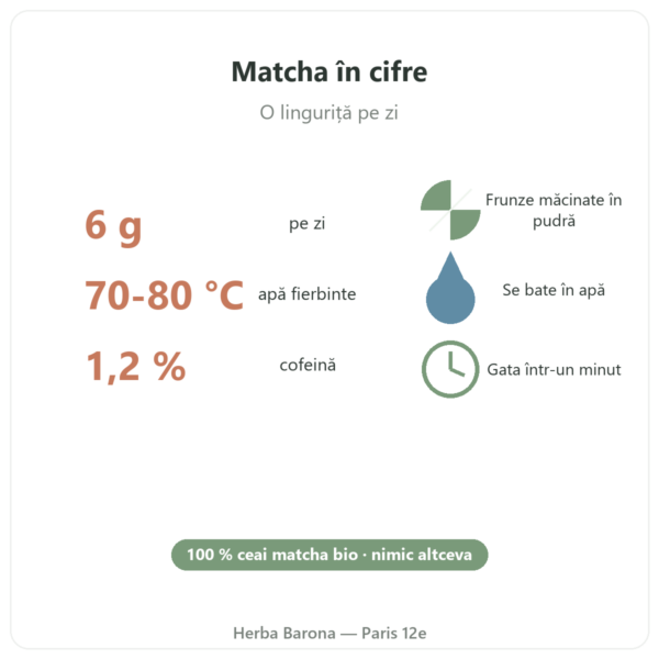Ceai matcha japonez bio pudră 150 g – Bioptimal în cifre Paris Herba Barona