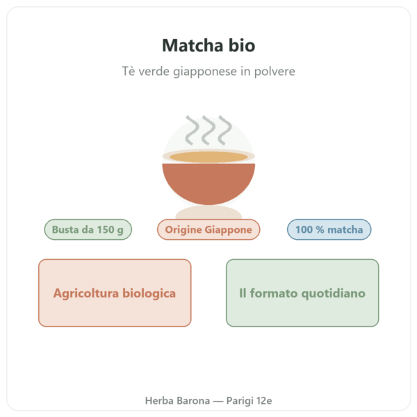 Tè matcha giapponese biologico in polvere 150 g – Bioptimal presentazione Paris Herba Barona