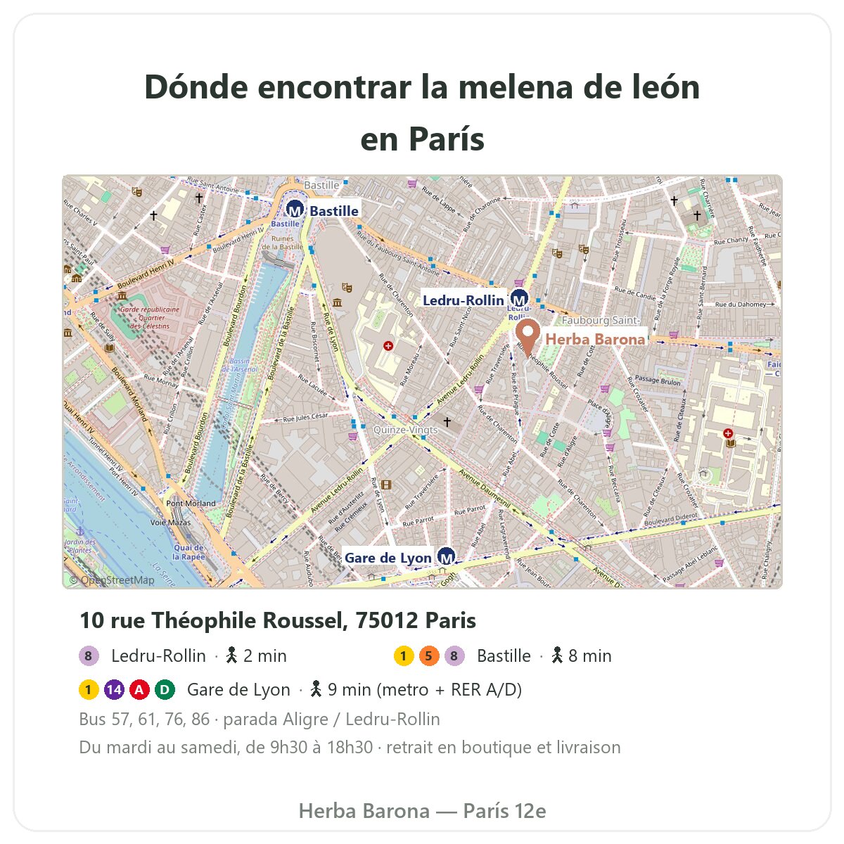 Melena de león París: plano de la tienda Herba Barona París 12