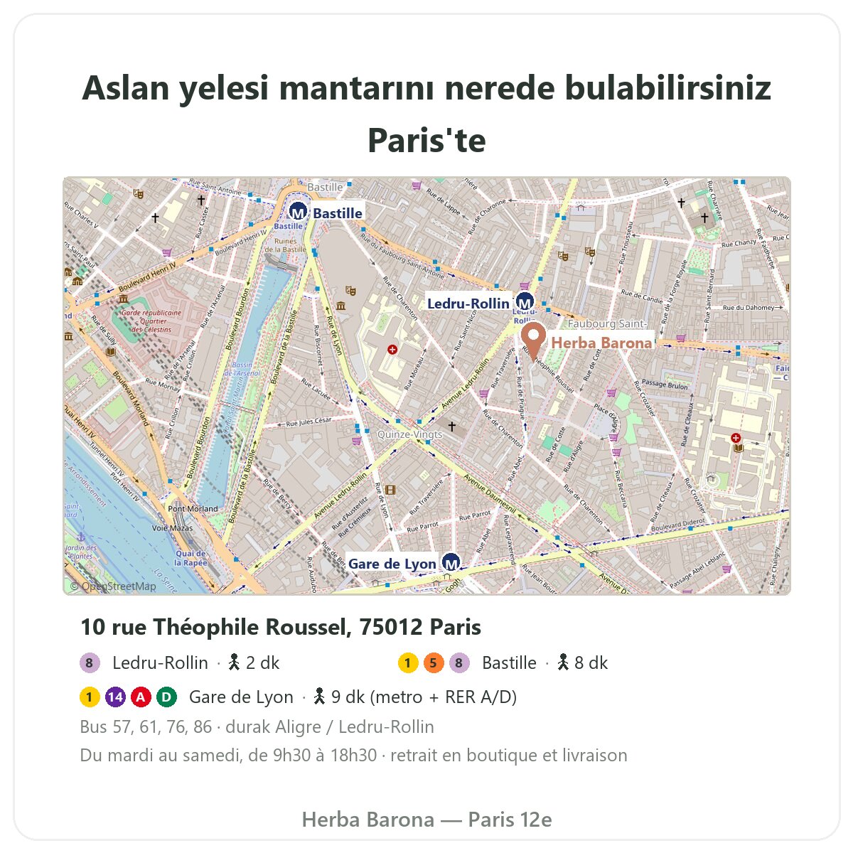 Aslan Yelesi Mantarı Paris: mağaza planı Herba Barona Paris 12
