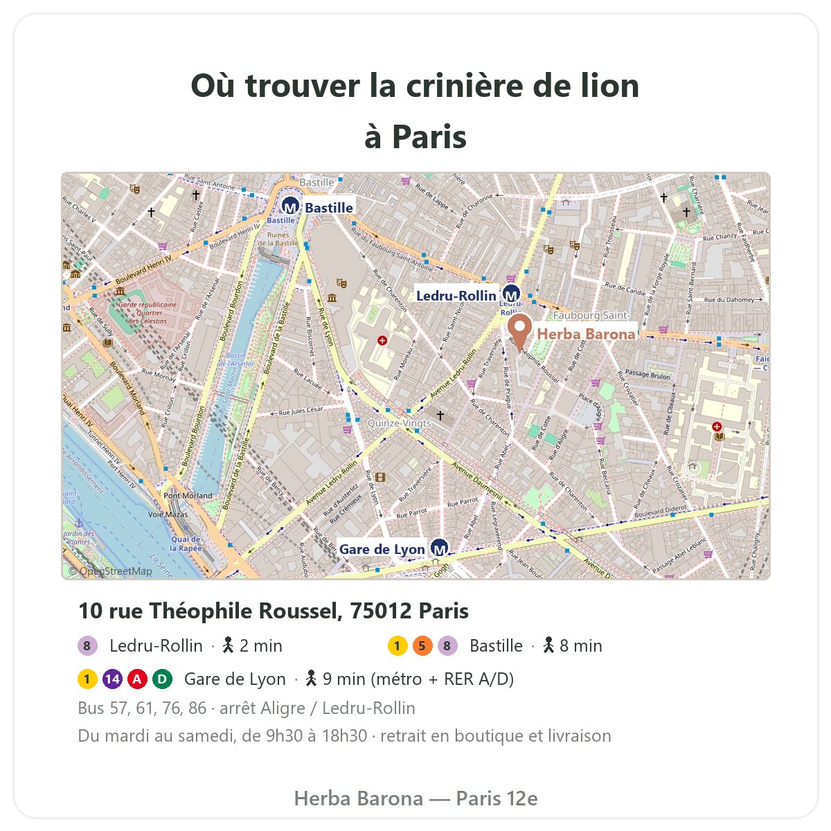 Crinière de lion à Paris : plan de la boutique Herba Barona Paris 12e