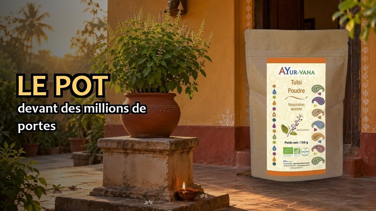 Vidéo Tulsi en poudre Ayur-vana Tulsi bio (basilic sacre) Paris Herba Barona